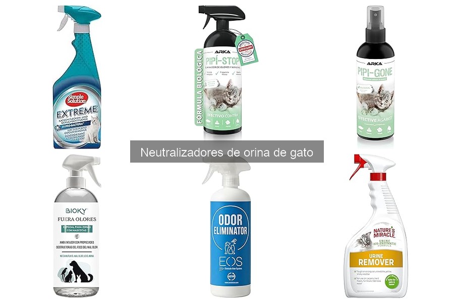 Errores comunes al usar neutralizadores de orina de gato