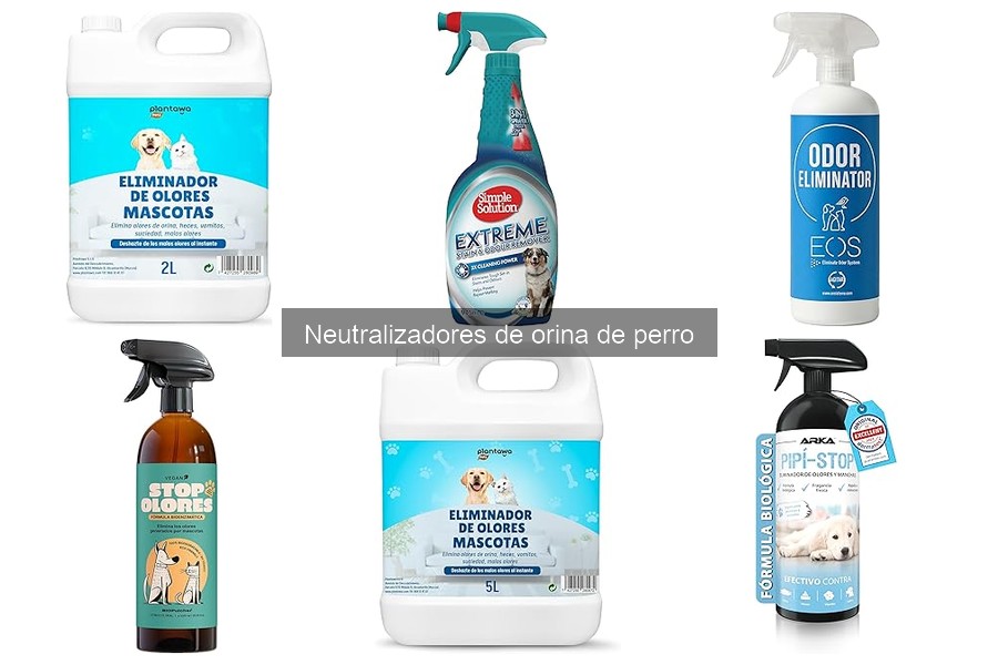 Errores comunes al usar neutralizadores de orina de perro