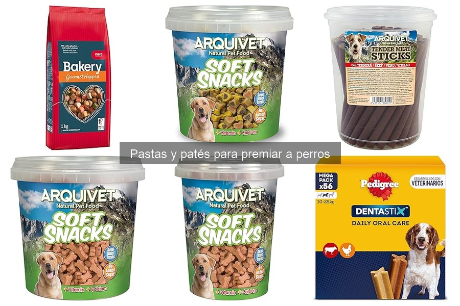 Errores comunes al usar pastas y patés como premios para perros