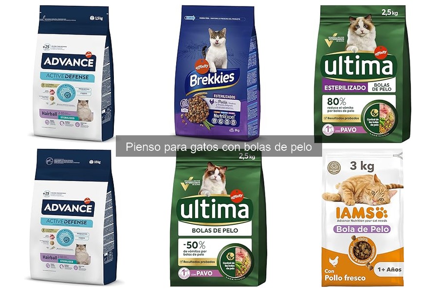 Errores comunes al usar pienso para gatos con bolas de pelo