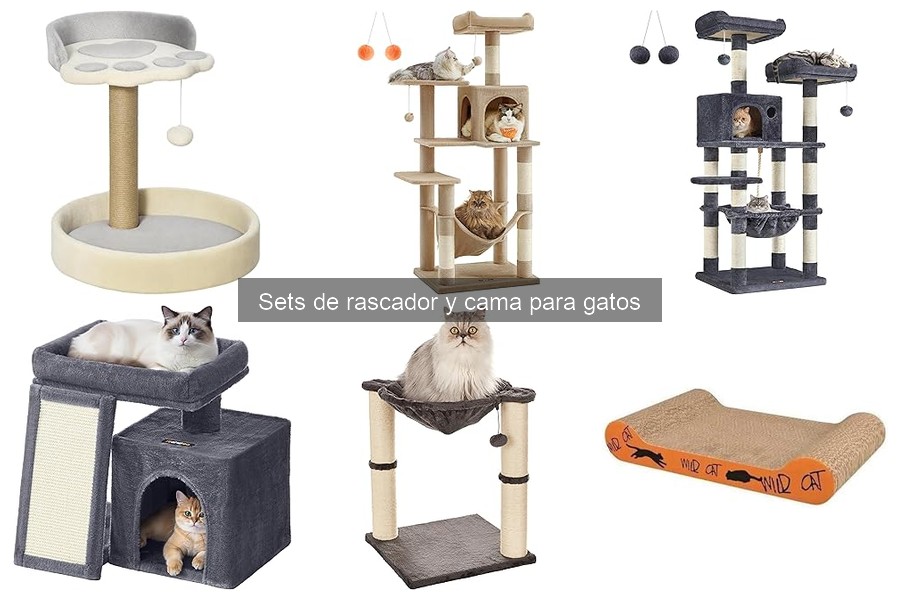 Errores comunes al usar sets de rascador y cama para gatos