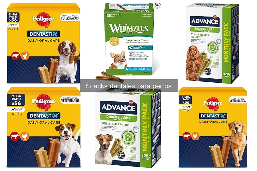 Errores comunes al usar snacks dentales para perros