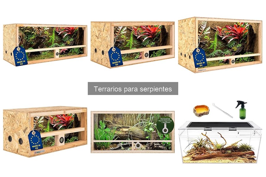 Errores comunes al usar terrarios para serpientes