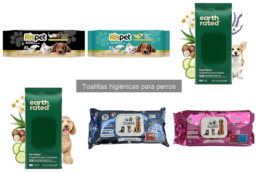 Errores comunes al usar toallitas higiénicas para perros