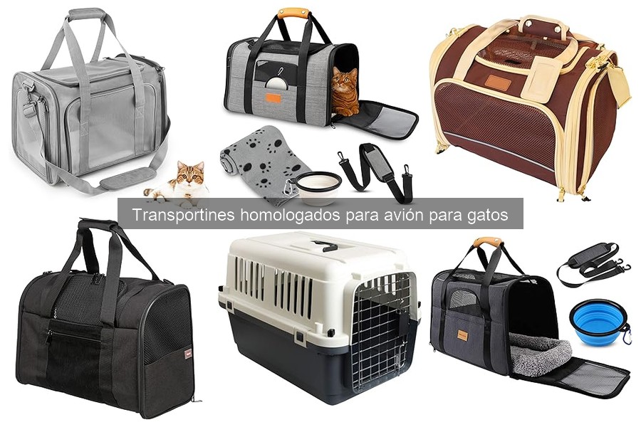 Errores comunes al usar transportines homologados para gatos