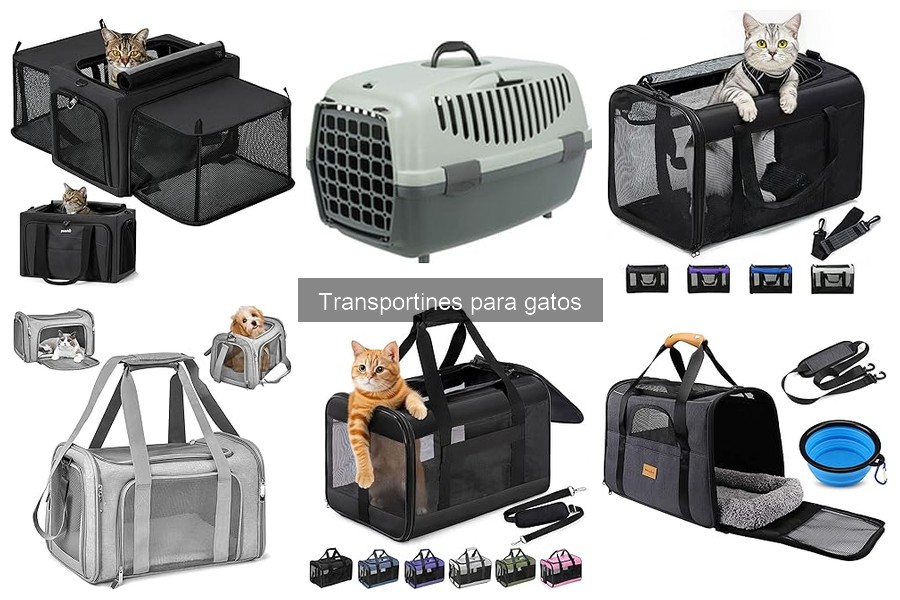 Errores comunes al usar transportines para gatos y soluciones