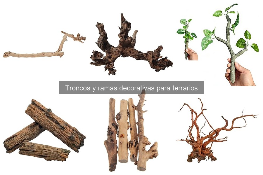 Errores comunes al usar troncos y ramas en terrarios