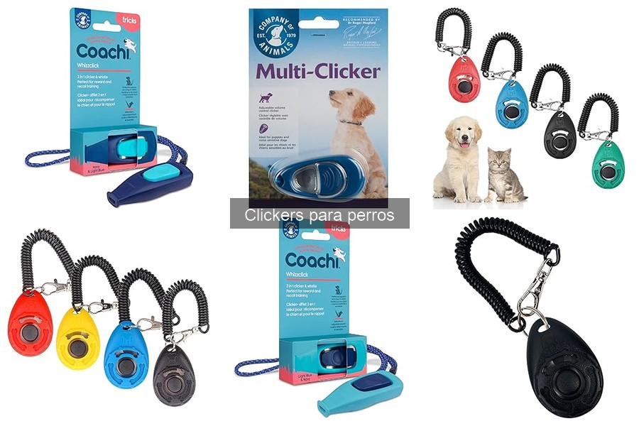 Errores comunes al usar un clicker para perros y cómo evitarlos