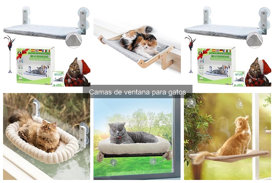 Errores Comunes con Camas de Ventana para Gatos