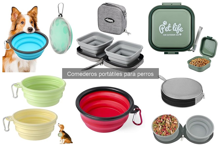 Errores comunes con comederos portátiles para perros