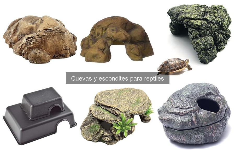 Errores comunes con cuevas y escondites para reptiles