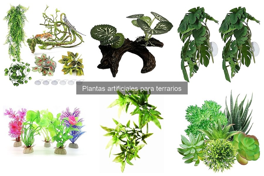 Errores comunes con plantas artificiales en terrarios