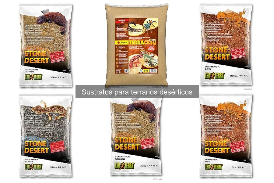 Errores comunes con sustratos para terrarios desérticos