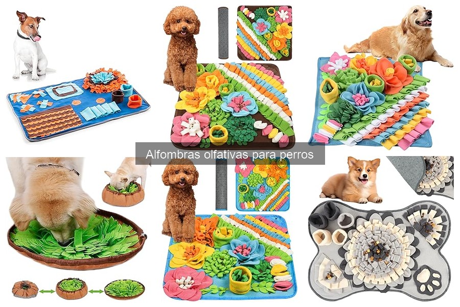 Errores comunes usando alfombras olfativas para perros