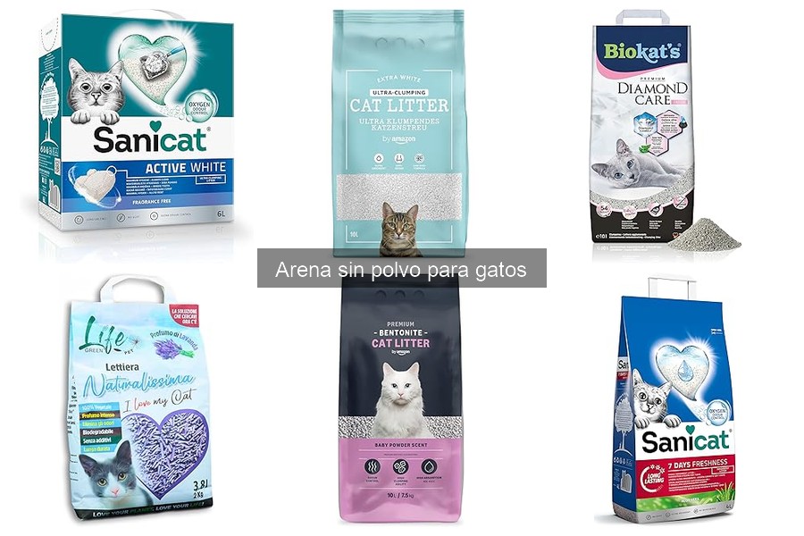 ¿Es adecuada la arena sin polvo para gatos kittens?