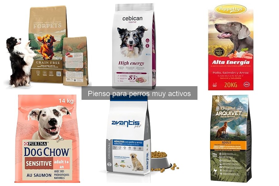 ¿Es adecuado el pienso para perros muy activos?