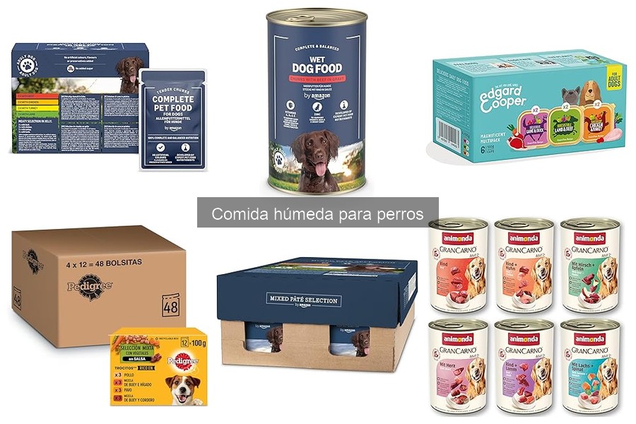 ¿Es la comida húmeda adecuada para tu perro?