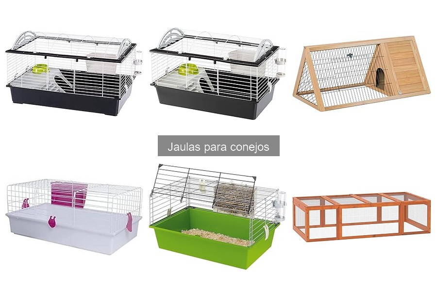 ¿Es necesario comprar una jaula para conejos? Guía necesaria