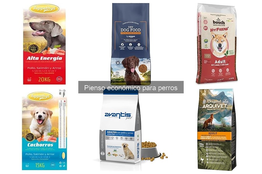 ¿Es suficiente el pienso económico para perros activos?