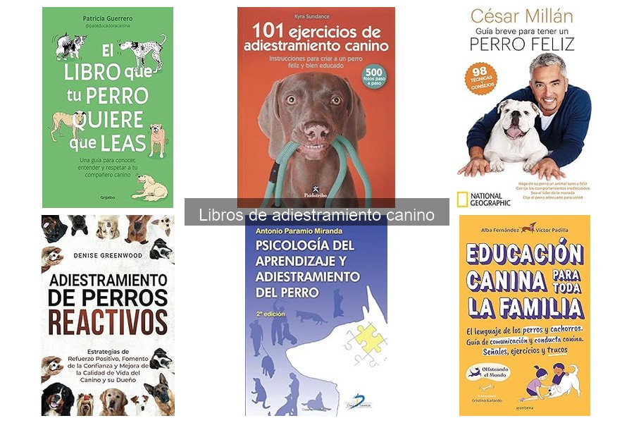 Evolución del adiestramiento canino en la literatura