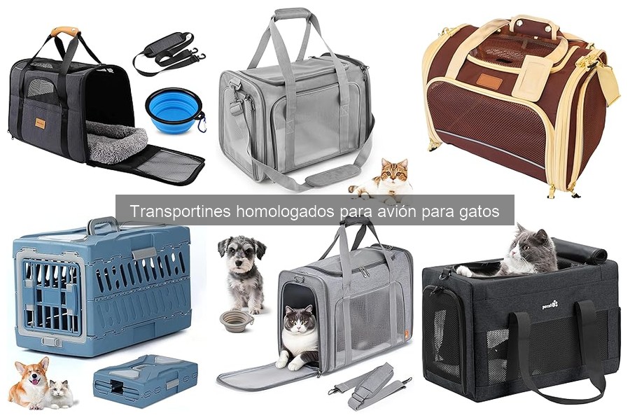 Experiencias de dueños con transportines homologados para gatos