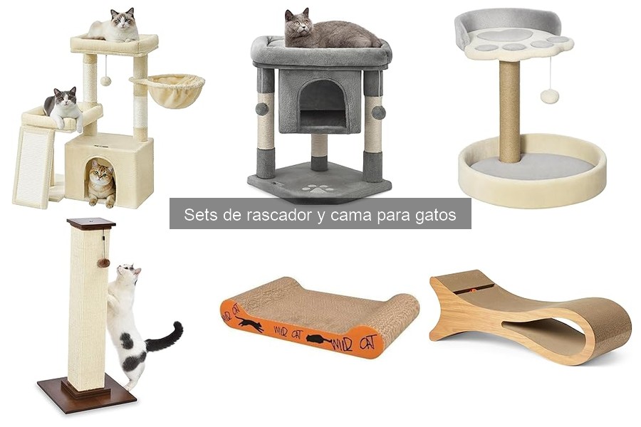Experiencias de gatos con sets de rascador y cama