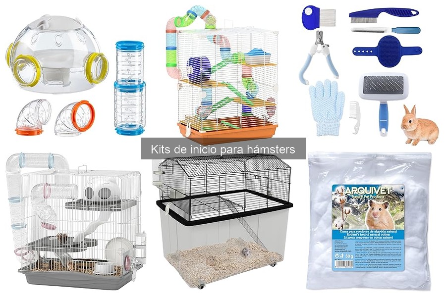 Experiencias Reales con Kits de Inicio para Hámsters