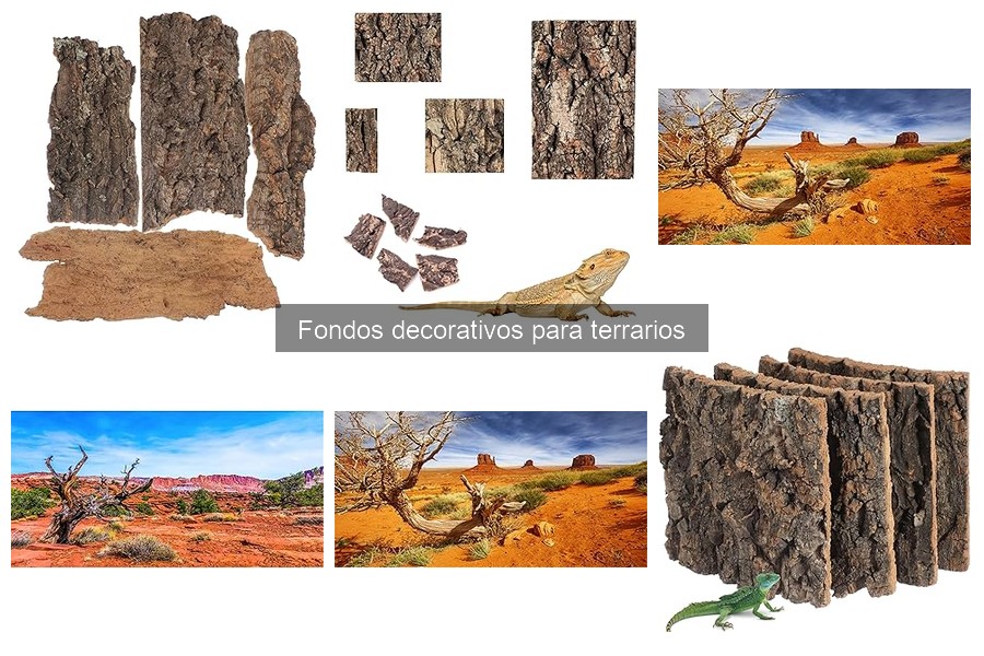 Fondos para terrarios de reptiles vs. plantas: ¿Cuál elegir?