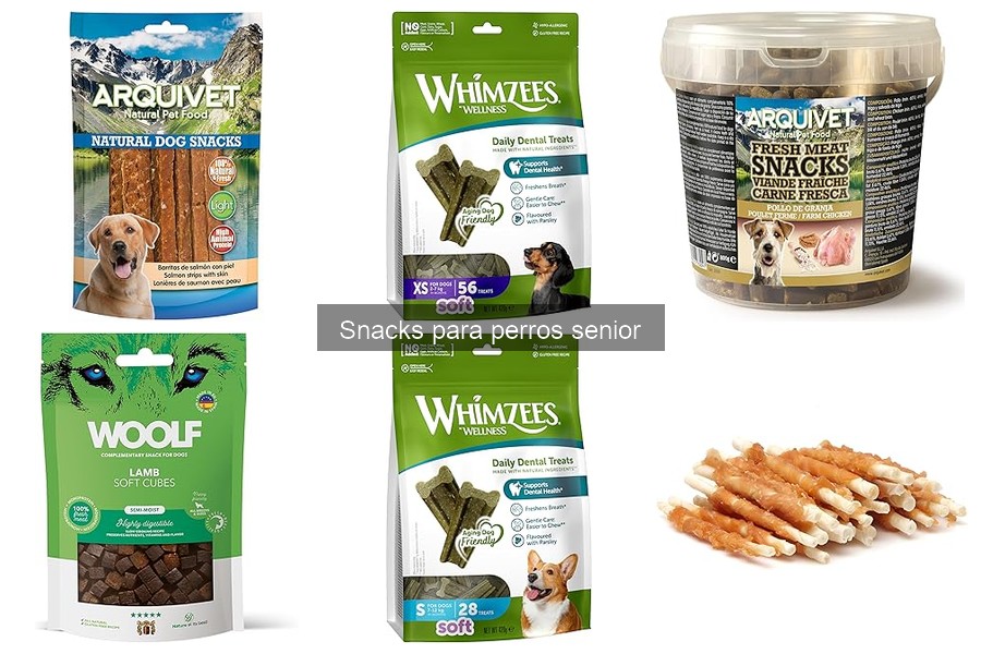 Frecuencia Ideal de Snacks para Perros Senior