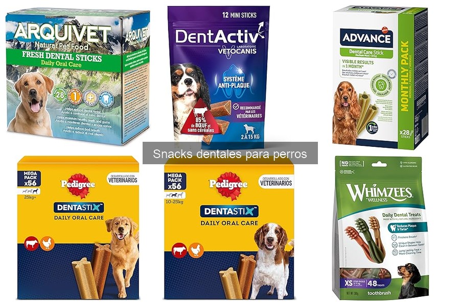 Frecuencia Ideal para Snacks Dentales en Perros