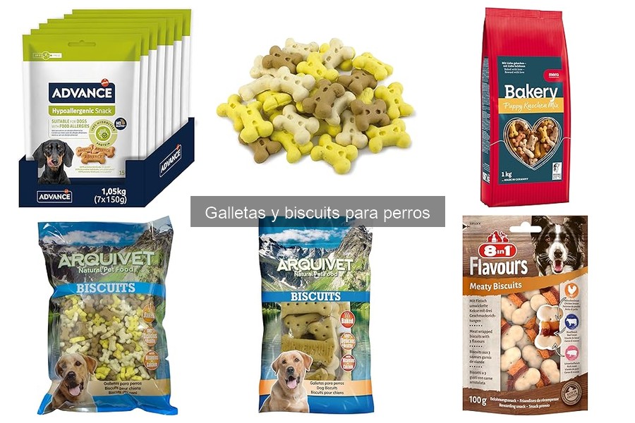 Galletas para perros a buen precio: dónde comprarlas