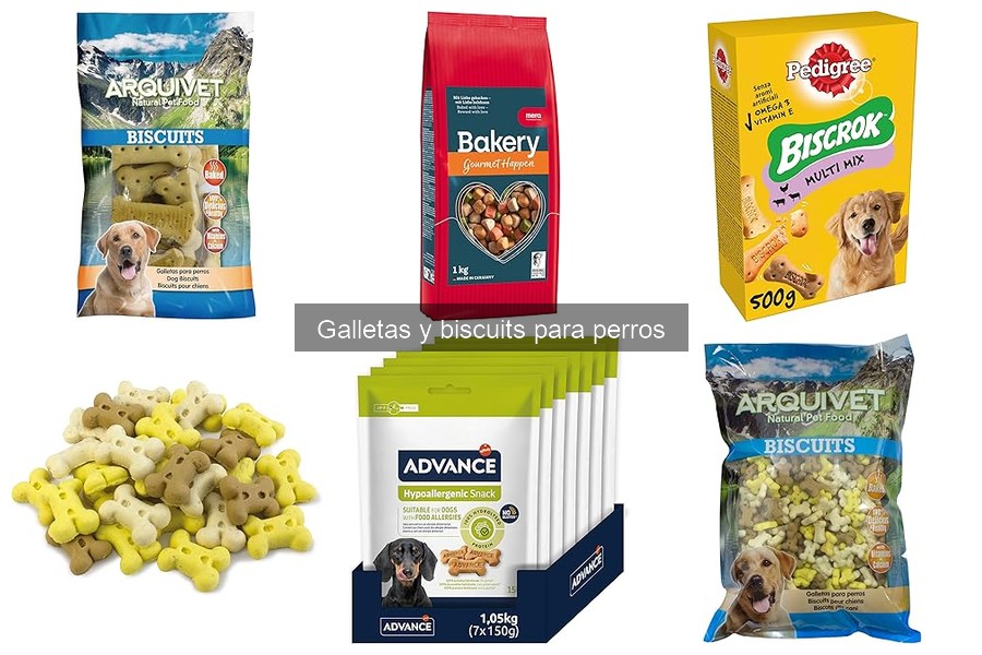 Galletas para perros: Adultos vs. Cachorros, ¿cuál elegir?