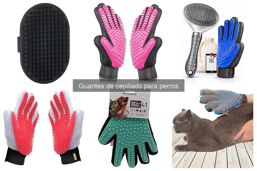 Guantes de cepillado para perros: ¿Qué son y cómo funcionan?