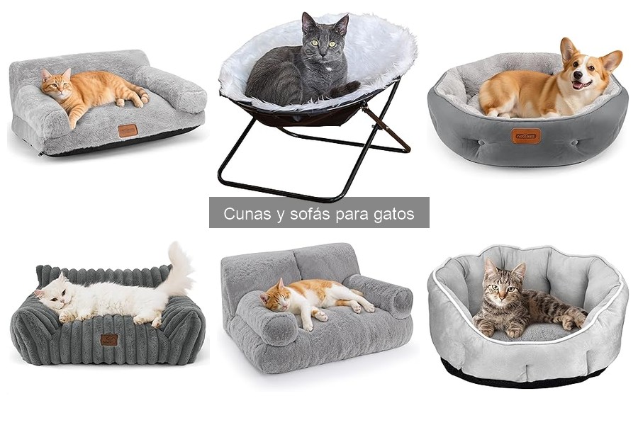Guía de compra: Cunas y sofás para gatos