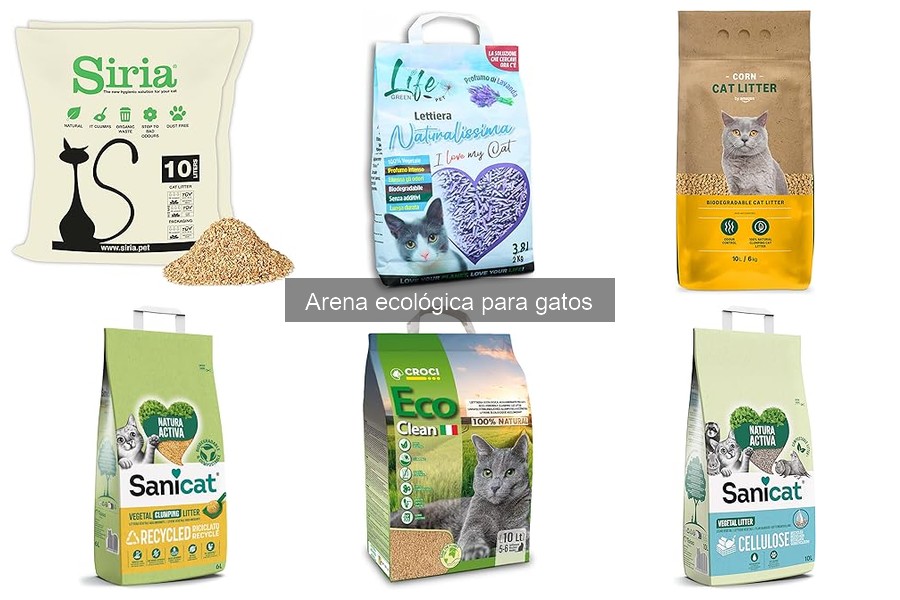 Guía de compra de arena ecológica para gatos