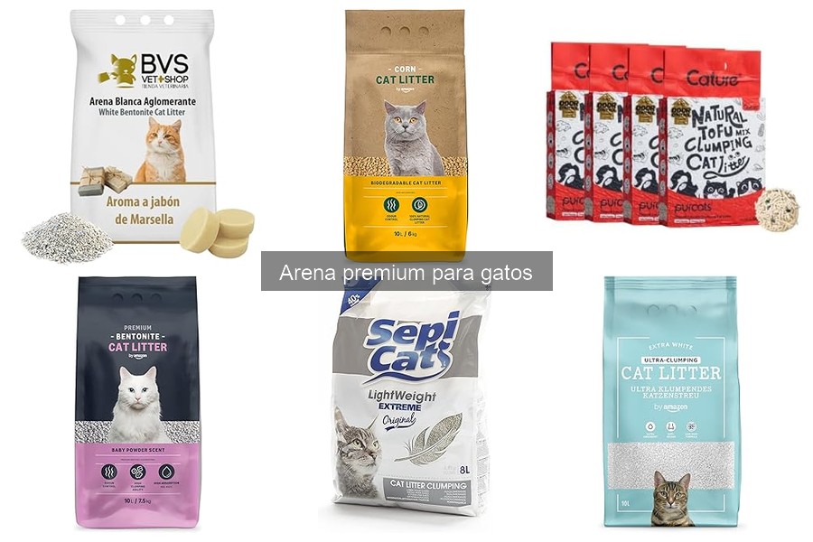 Guía de compra de arena premium para gatos