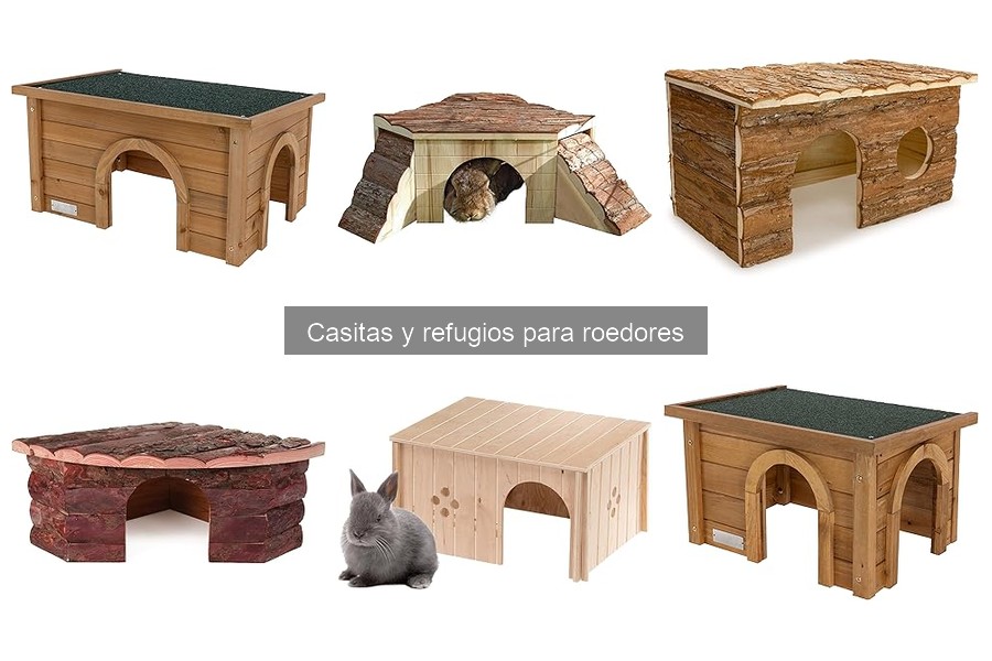 Guía de compra de casitas para roedores: lo que debes saber