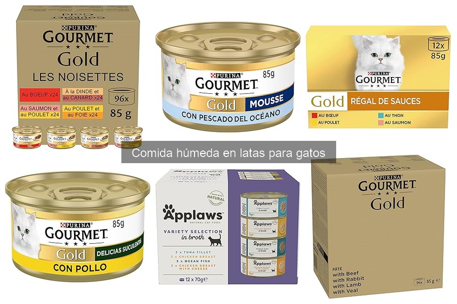 Guía de compra de comida húmeda en latas para gatos