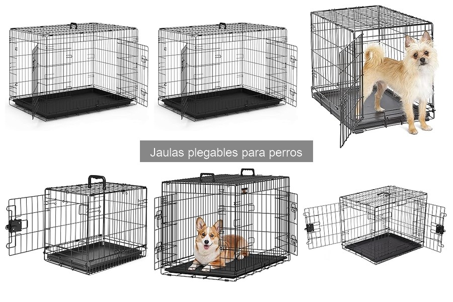 Guía de Compra de Jaulas Plegables para Perros