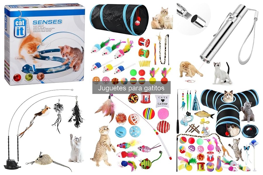 Guía de compra de juguetes para gatitos: consejos útiles