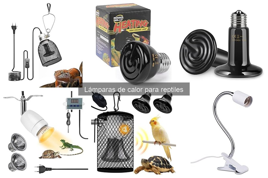 Guía de compra de lámparas de calor para reptiles