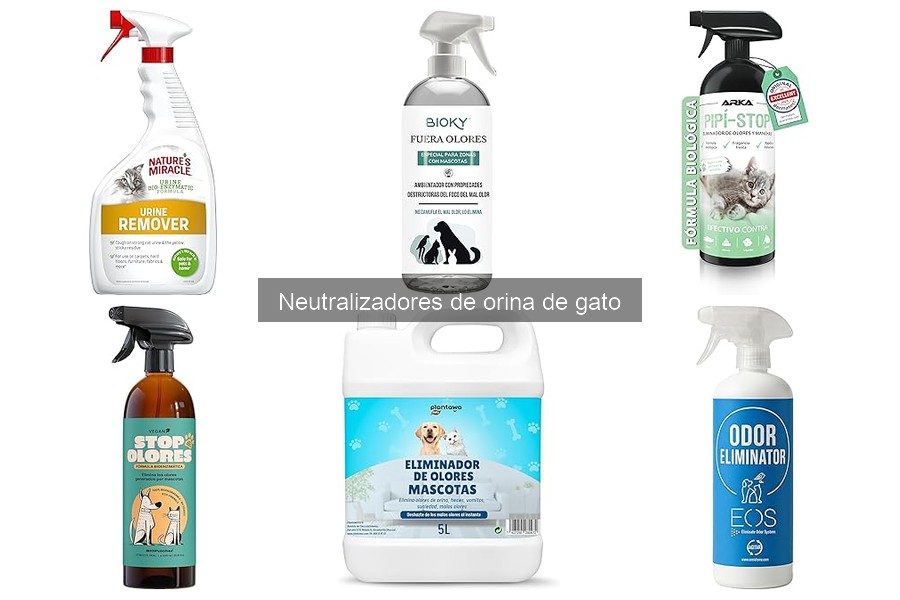 Guía de Compra de Neutralizadores de Orina de Gato