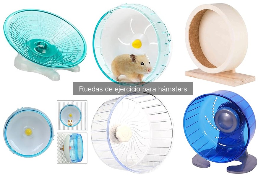 Guía de compra de ruedas de ejercicio para hámsters