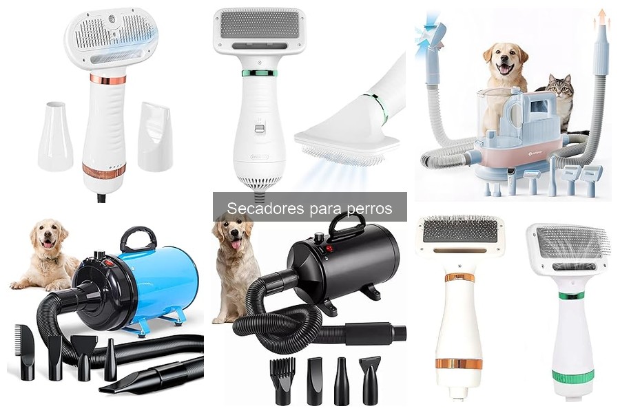 Guía de compra de secadores para perros: consejos y mejores opciones