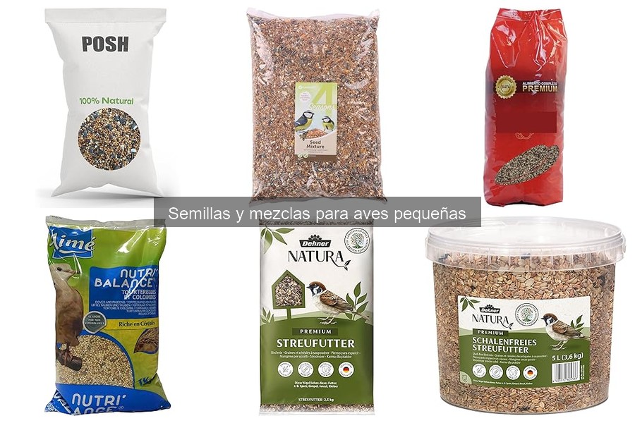 Guía de compra de semillas para aves pequeñas