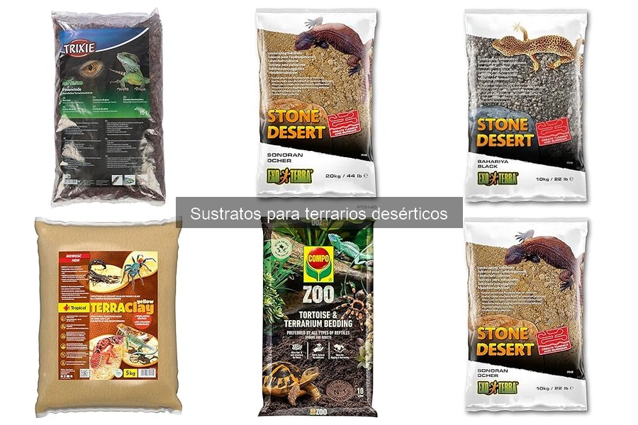Guía de compra de sustratos para terrarios desérticos