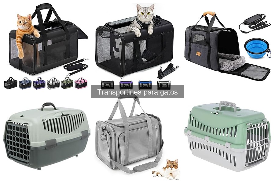 Guía de compra de transportines para gatos: factores clave