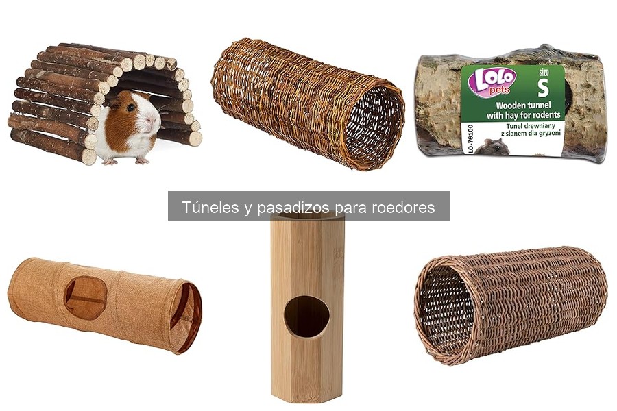Guía de compra de túneles y pasadizos para roedores