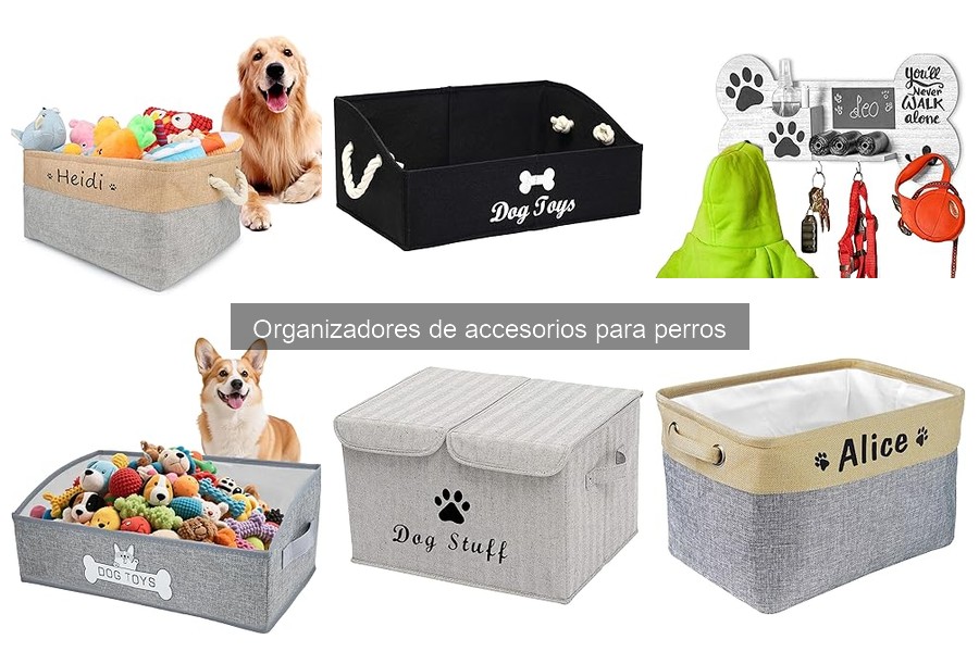 Guía de compra: Organizador de accesorios para perros