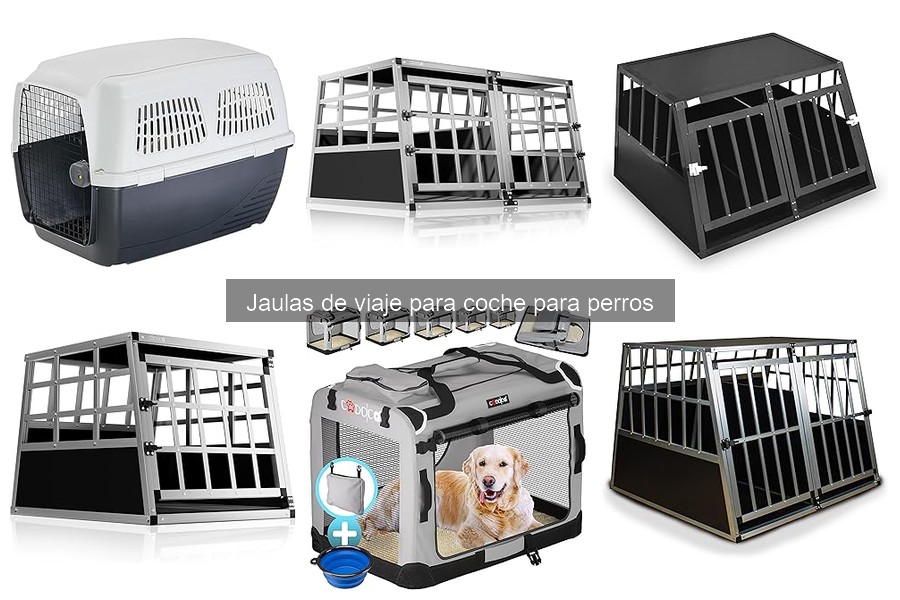 Guía de seguridad: Jaulas de viaje para perros en coche